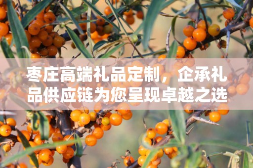 枣庄高端礼品定制，企承礼品供应链为您呈现卓越之选